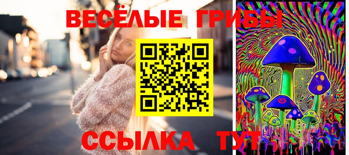 Псилоцибиновые грибы MAGIC MUSHROOMS Шахты