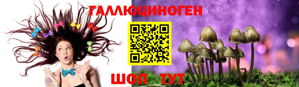 Шахты  Галлюциногенные грибы MAGIC MUSHROOMS  Галлюциногенные грибы MAGIC MUSHROOMS  Вход с VPN 